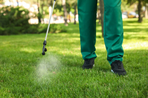 Best Termite Control Services  in Campbell, OH