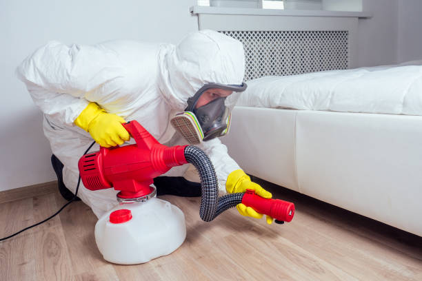 Flea Control Services in Campbell, OH