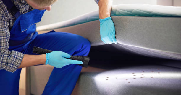 Best Cockroach Control Services  in Campbell, OH