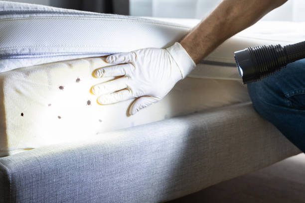 Best Best Pest Control Companies  in Campbell, OH