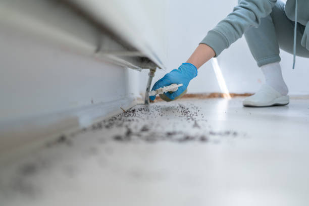 Campbell, OH Pest Control Company